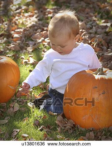 Stock Photograph - jaw, girl, moose, pumpkins, playing, little. Fotosearch