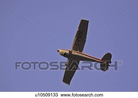 Stock Image - jaw, plane, moose, land, coming, small. Fotosearch