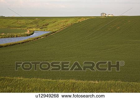 Stock Photo - jaw, saskatchewan, scenic, river, moose. Fotosearch