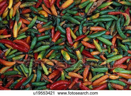 Stock Image - juarez, street, hispanic, mexico, cuidad. Fotosearch