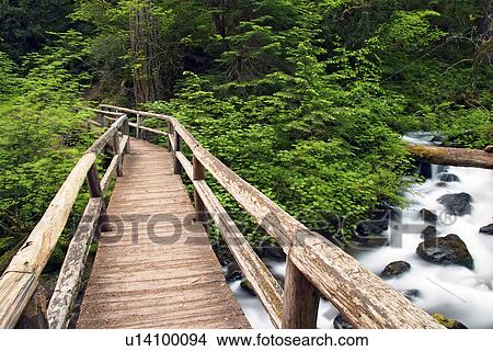 Picture - laughingwater, growth, old, creek, bridge. Fotosearch