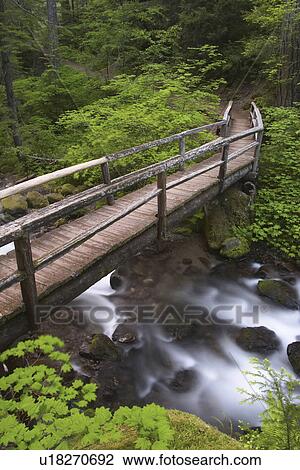 laughingwater, growth, old, creek, bridge View Large Photo Image Stock Image - laughingwater, growth, old, creek, bridge. Fotosearch