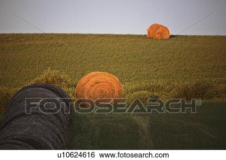 Stock Photograph - lighting, hay, low, lit, bales, two. Fotosearch