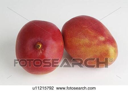 mangos, comestible, background, white, pair View Large Photo Image Stock Image - mangos, comestible, background, white, pair. Fotosearch