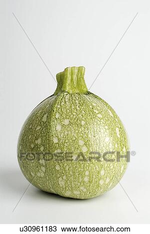 Stock Image - marrow, alimentary, round, white, rond. Fotosearch