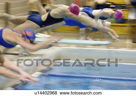meet, females, swim, college, starting, women View Large Photo Image Stock Photo - meet, females, swim, college, starting, women. Fotosearch