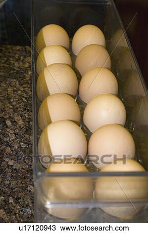 minnesota, eggs, paul, container, sitting, brown View Large Photo Image Stock Image - minnesota, eggs, paul, container, sitting, brown. Fotosearch