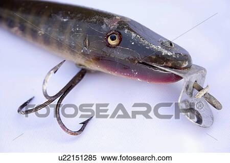 minnesota, looking, clitherall, lure, fishing, dangerous View Large Photo Image Stock Photography - minnesota, looking, clitherall, lure, fishing, dangerous. Fotosearch