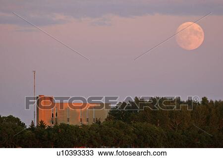Stock Image - moon, water, pound, buffalo, full. Fotosearch