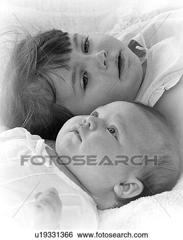moose, siblings, together, heads, get, two View Large Photo Image Stock Photograph - moose, siblings, together, heads, get, two. Fotosearch