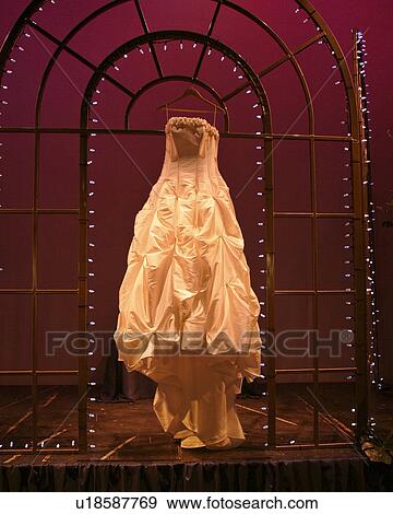 moose, standing, photographed, altar, unique, bride View Large Photo Image Stock Photo - moose, standing, photographed, altar, unique, bride. Fotosearch