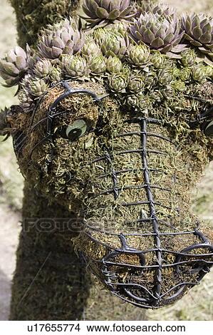 Picture - moss, sculpture, peat, form, metal, alligator. Fotosearch