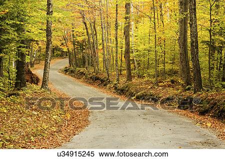 Stock Photography - mountains, through, white, forest, autumn, road. Fotosearch
