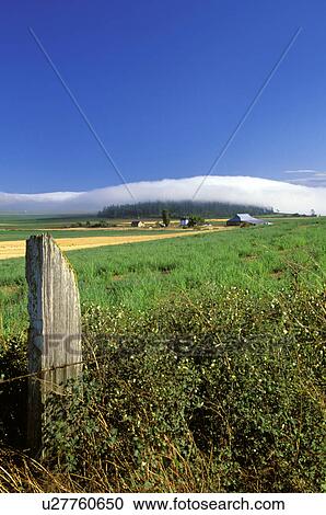 national, coupeville, cloud, fence, washington, crops View Large Photo Image Stock Image - national, coupeville, cloud, fence, washington, crops. Fotosearch