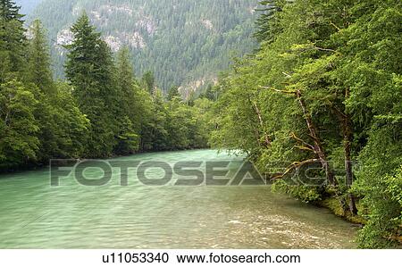 national, river, lake, ross, newhalem, skagit View Large Photo Image Stock Image - national, river, lake, ross, newhalem, skagit. Fotosearch