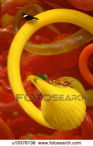 Stock Photo - nature, orange, banded, male, art. Fotosearch