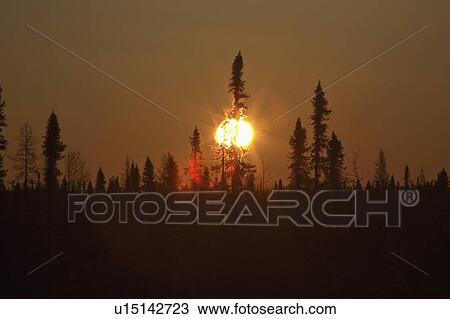 nearing, saskatchewan, northern, sunset, sun View Large Photo Image Stock Image - nearing, saskatchewan, northern, sunset, sun. Fotosearch