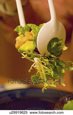 Stock Photography - nmr, salad, usa, minnesota, paul, serving. Fotosearch