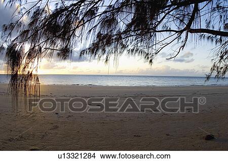 northern, deserted, tribulation, cape, beach, sunrise View Large Photo Image Picture - northern, deserted, tribulation, cape, beach, sunrise. Fotosearch