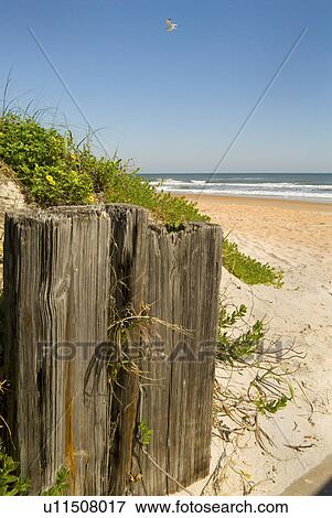 ocean, beach, atlantic, daytona, florida, ormond View Large Photo Image Stock Photo - ocean, beach, atlantic, daytona, florida, ormond. Fotosearch