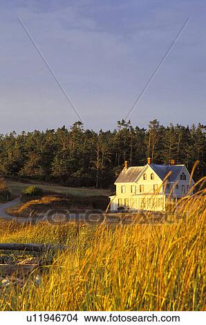 Picture - park, dusk, beach, travel, coastline. Fotosearch