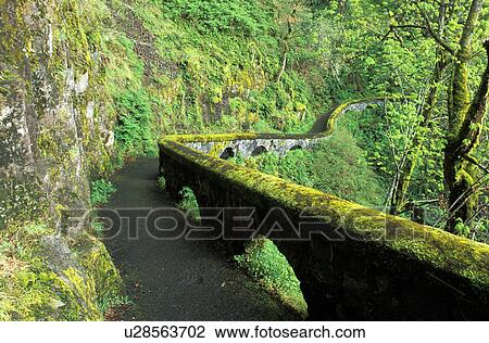 Stock Image - park, gorge, river, trail, tree, canyon. Fotosearch