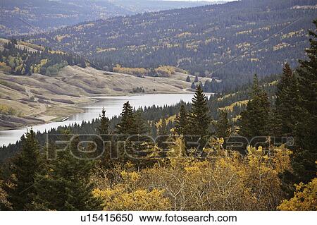 park, lake, interprovincial, hills, cypress, reesor View Large Photo Image Stock Image - park, lake, interprovincial, hills, cypress, reesor. Fotosearch