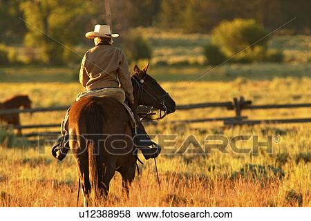 pasture, released, horseback, female, woman, model View Large Photo Image Stock Photo - pasture, released, horseback, female, woman, model. Fotosearch