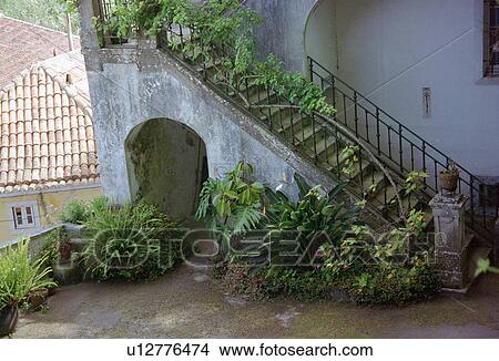 patio, portugal, house, entrance, typical View Large Photo Image Picture - patio, portugal, house, entrance, typical. Fotosearch
