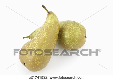 pears, fruit, background, white, pair View Large Photo Image Stock Image - pears, fruit, background, white, pair. Fotosearch