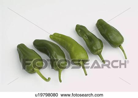 Stock Image - peppers, bell, background, white, padron. Fotosearch