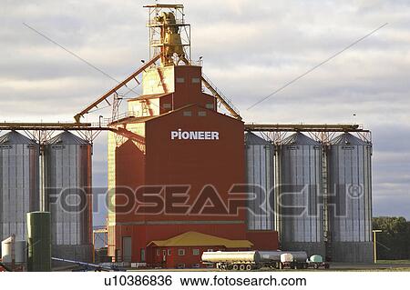 Stock Photograph - pioneer, elevator, canada, manitoba, friendly, grain. Fotosearch