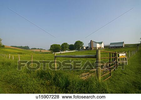 Stock Photo - post, fences, wire, barbed, fence, long. Fotosearch
