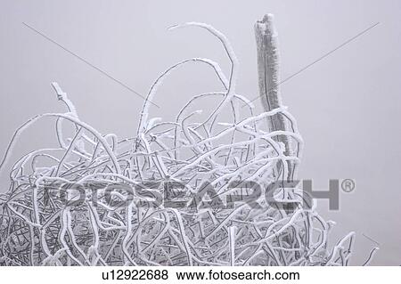 post, frost, hoar, covered, fence View Large Photo Image Stock Photo - post, frost, hoar, covered, fence. Fotosearch