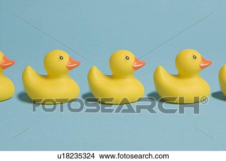 Picture - queue, bluegreen, yellow, beak, aqua, bill. Fotosearch