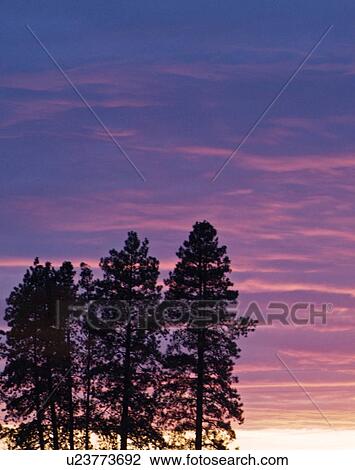 Stock Image - reflect, sunset, cloud, silouette, sunrise, sun. Fotosearch