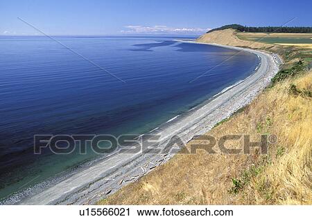 reserve, island, grass, ebeys, landscape, beach View Large Photo Image Stock Image - reserve, island, grass, ebeys, landscape, beach. Fotosearch