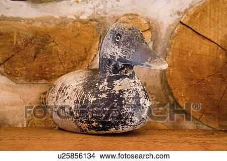 Picture - rest, carved, coming, decoy, duck, weathered. Fotosearch