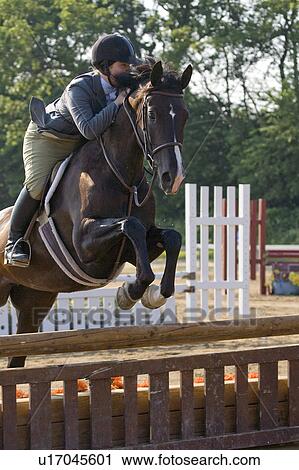 Stock Image - rider, horseshow, fence, jumping, horse. Fotosearch