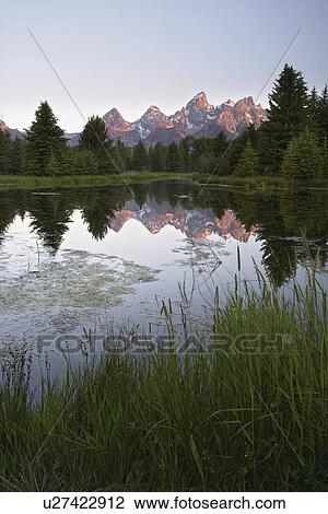 river, mountains, snake, backwaters, reflected, teton View Large Photo Image Stock Image - river, mountains, snake, backwaters, reflected, teton. Fotosearch