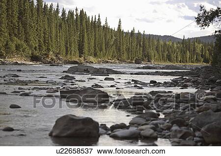 Stock Photo - road, deer, forestry, creek, river, red. Fotosearch