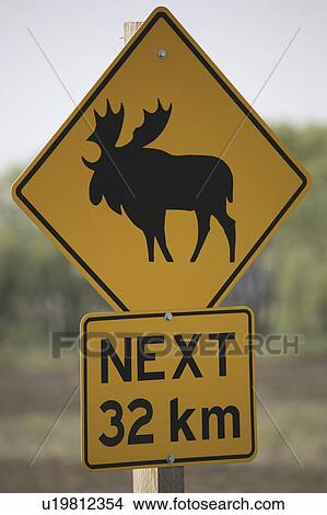 Picture - road, sign, crossing, moose, stoughton, cautionary. Fotosearch