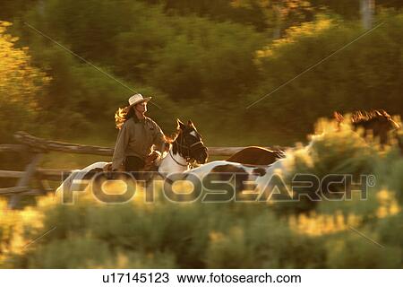 Stock Image - rounding, released, horseback, female, woman, model. Fotosearch