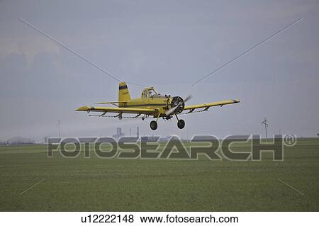 saskatchewan, duster, scenic, field, spraying, crop View Large Photo Image Stock Photo - saskatchewan, duster, scenic, field, spraying, crop. Fotosearch