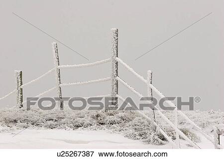 Stock Photo - saskatchewan, frostcovered, scenic, fence, barbedwire, hoar. Fotosearch