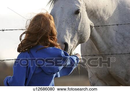 Stock Image - saskatchewan, girl, scenic, horse, feeding, young. Fotosearch