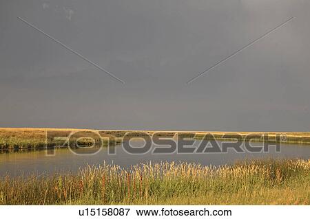 saskatchewan, river, scenic, light, low, wood View Large Photo Image Stock Photo - saskatchewan, river, scenic, light, low, wood. Fotosearch