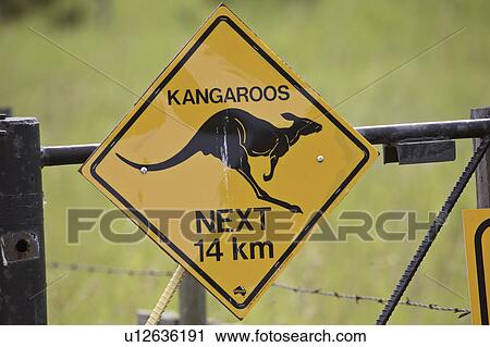 saskatchewan, sign, scenic, lake, tobin, humorous View Large Photo Image Stock Image - saskatchewan, sign, scenic, lake, tobin, humorous. Fotosearch