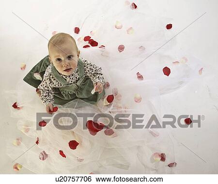 Stock Photograph - scatered, white, pertals, flower, background, baby. Fotosearch