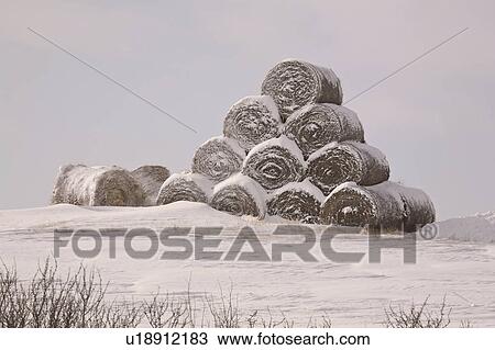 scenic, covered, hilltop, bales, hay, snow View Large Photo Image Stock Image - scenic, covered, hilltop, bales, hay, snow. Fotosearch